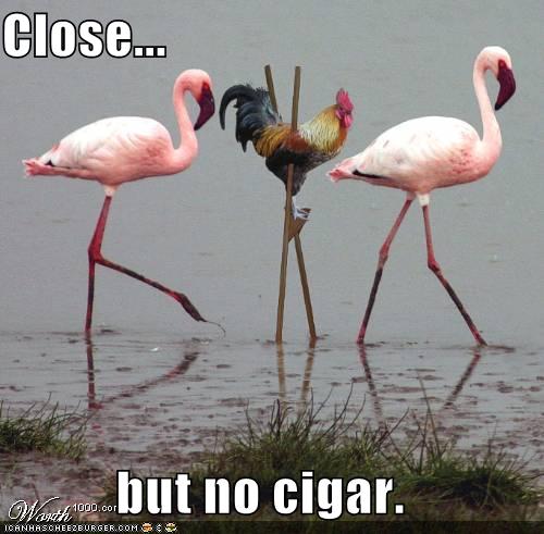close-but-no-cigar.jpg